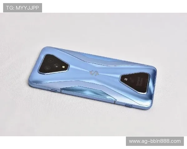 BBIN在线地址最新入口，确保玩家安全稳定登录体验