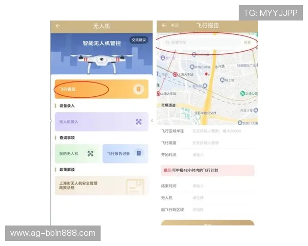 下载BBINapp下载，享受安全稳定的线上娱乐体验指南