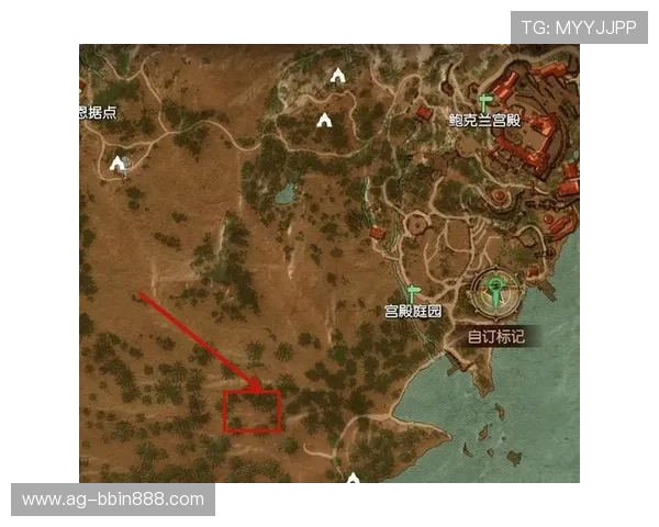 如何找到可靠的BBIN手机官方地址,确保账号安全的详细攻略 如何找到可靠的BBIN手机官方地址,确保账号安全的详细攻略