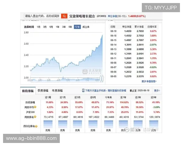宝盈集团官网：宝盈基金官方网站的企业使命与未来发展规划