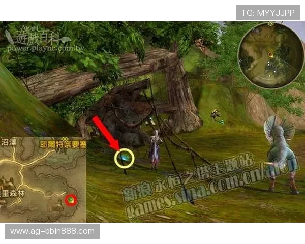 CQ9黑悟空玩家必看新手入门指南快速上手游戏流程详解